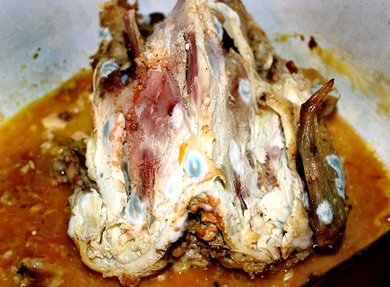 Good Chicken Gone Bad