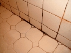 Moldy tile look familiar?