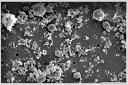 Particulates