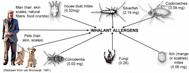 Inhalent allergens