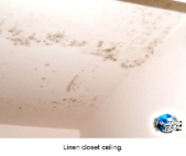Mold in linen closet ceiling