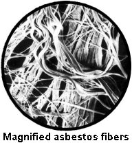 Magnified asbestos fibers