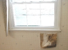 Mold under wallpaper