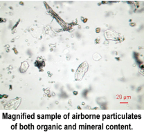 Magnified particulates