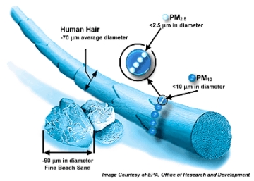 Relative Particle Sizes