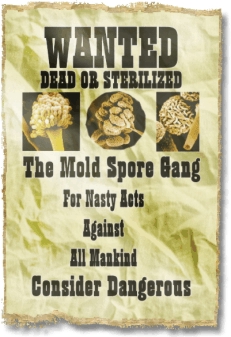 Wanted poster - The Mold Spore Gang